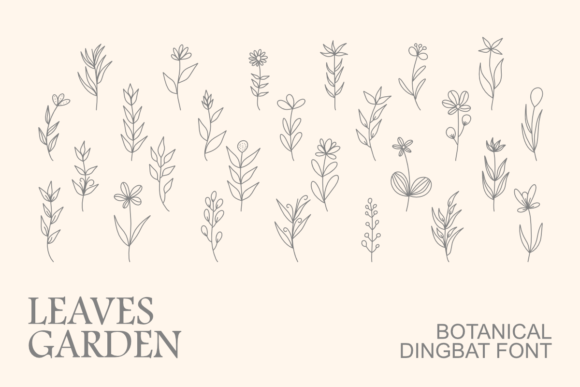 Leaves Garden Font for Organic Campaign Design