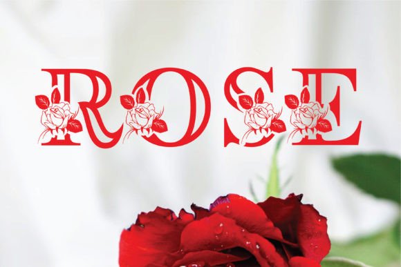 Rosera Monogram: A Delicate Typeface for Editorial Design